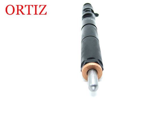 Original DELPHI Common Rail Injector For Ssangyong Rodius EJBR04601Z